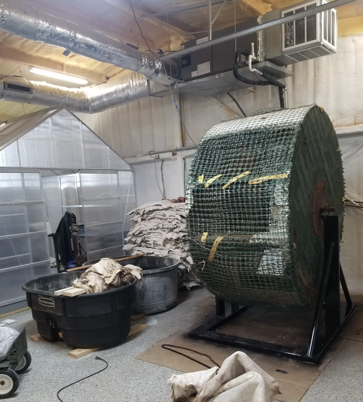 Tanning at the Lightfoot Taxidermy